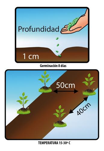 Semillas Hortaliza Certificada Para Huerta Casera Por Sobre 6