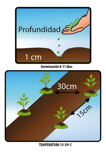 Semillas Hortaliza Certificada Para Huerta Casera Por Sobre 23
