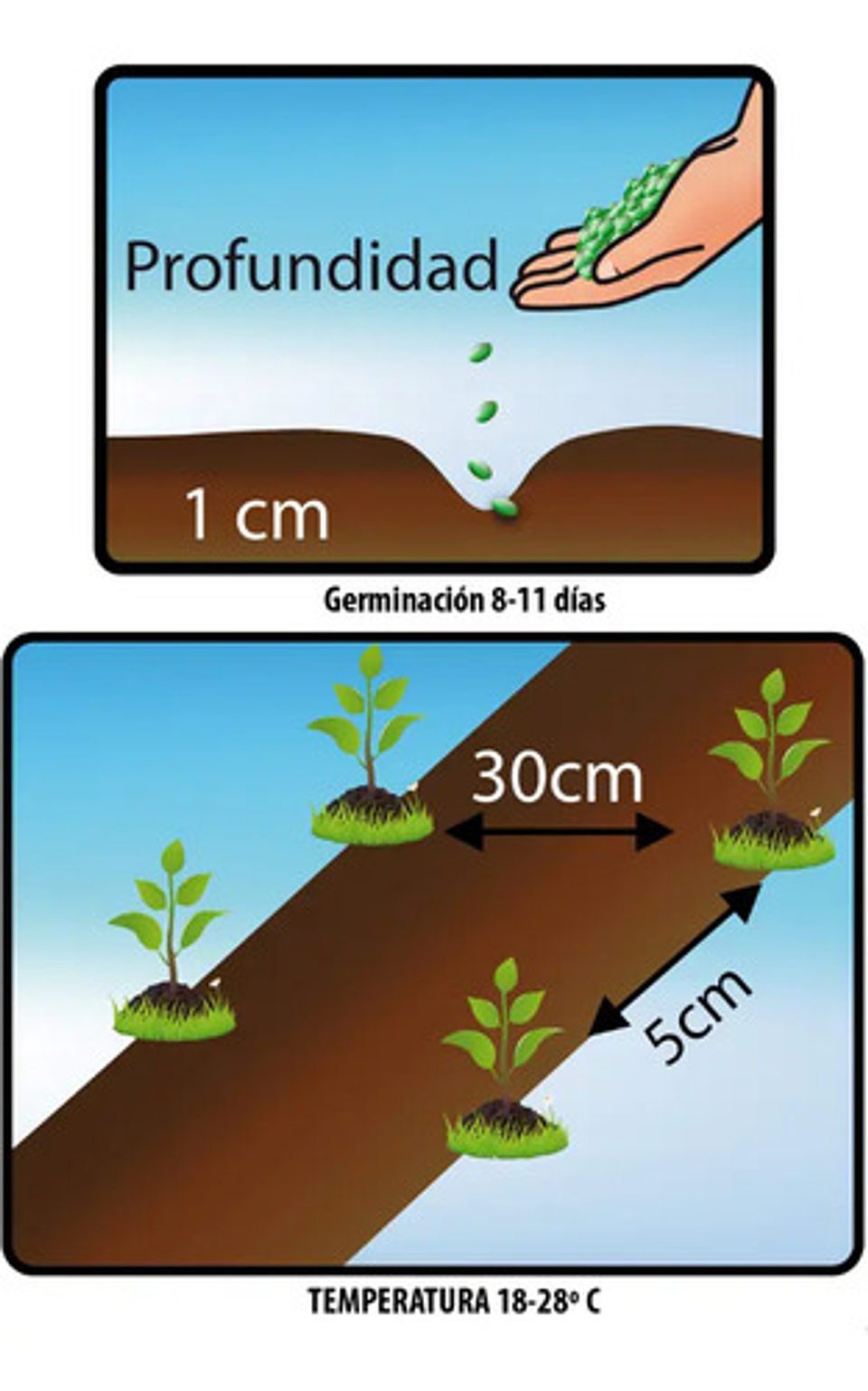 Semillas Hortaliza Certificada Para Huerta Casera Por Sobre 26