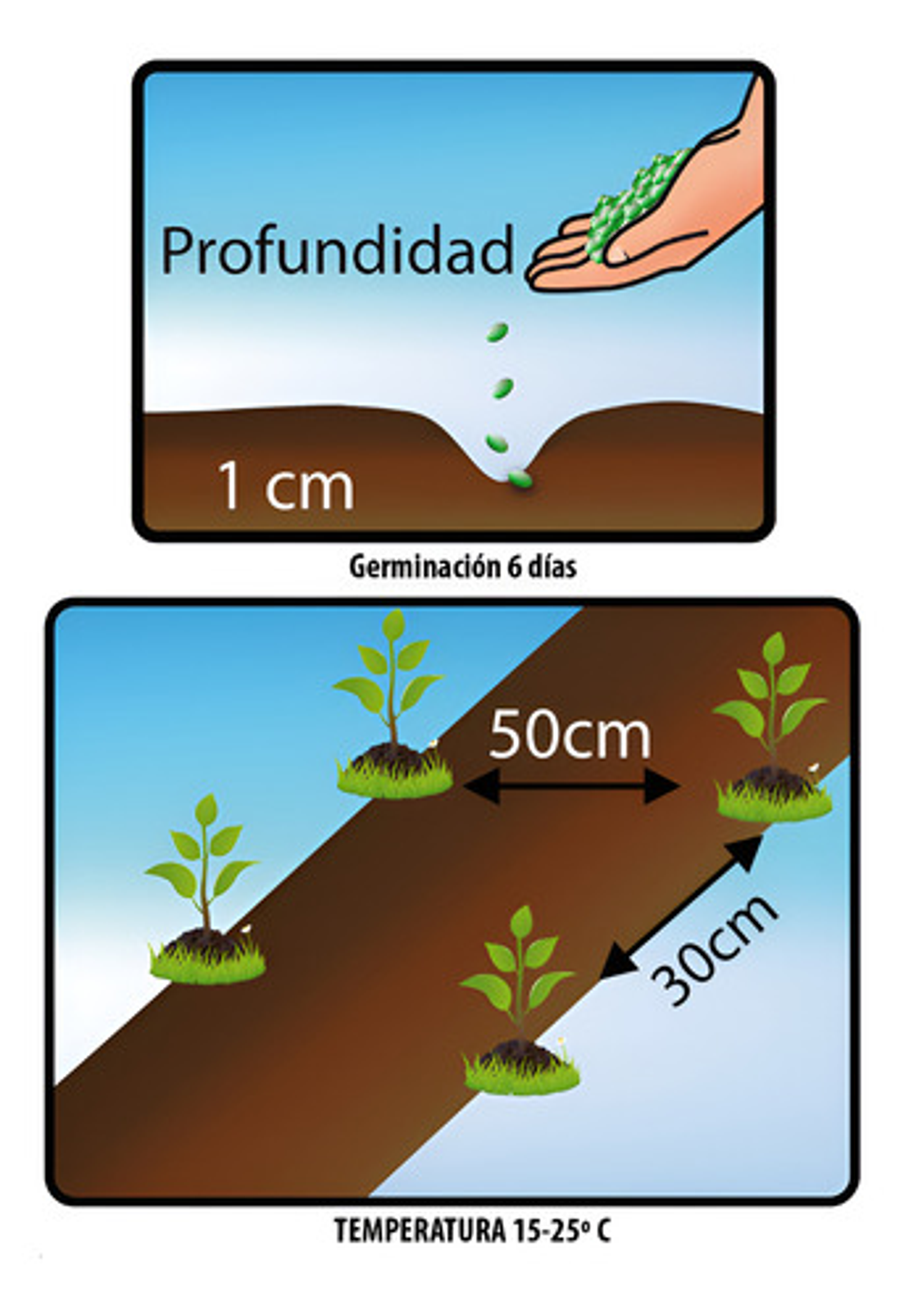 Semillas Hortaliza Certificada Para Huerta Casera Por Sobre 29