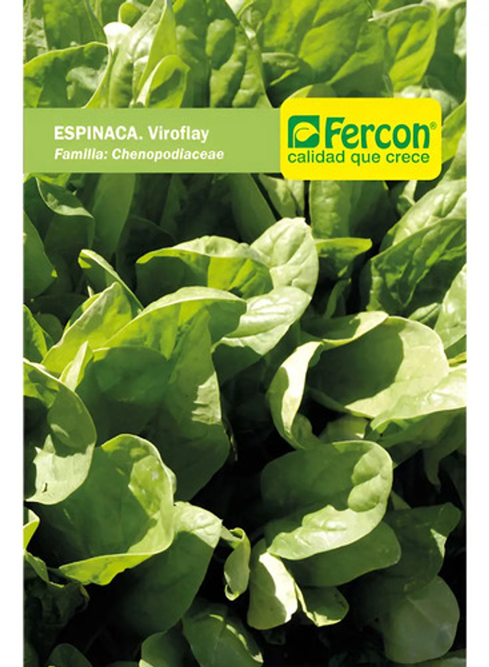 Semillas Hortaliza Certificada Para Huerta Casera Por Sobre 30