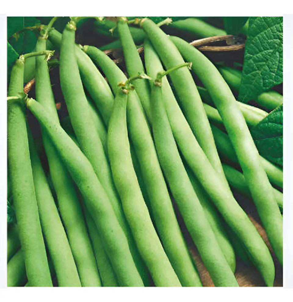 Semillas Hortaliza Certificada Para Huerta Casera Por Sobre 34