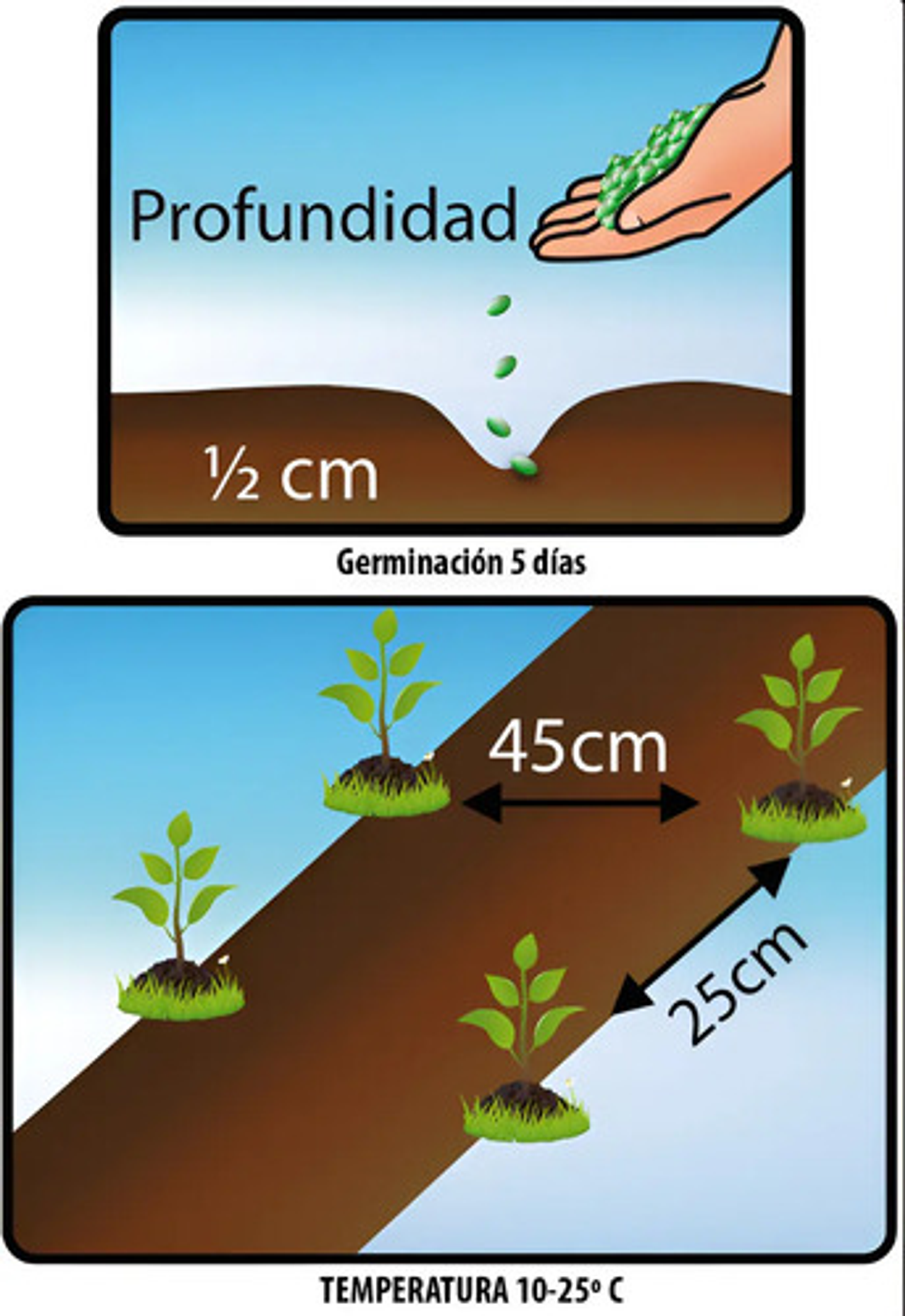 Semillas Hortaliza Certificada Para Huerta Casera Por Sobre 37
