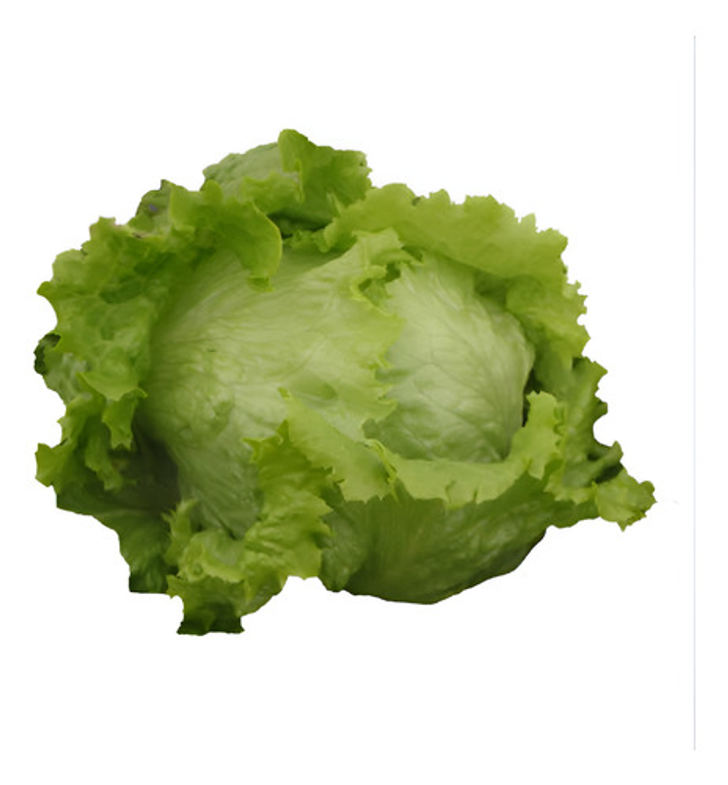 Semillas Hortaliza Certificada Para Huerta Casera Por Sobre 38