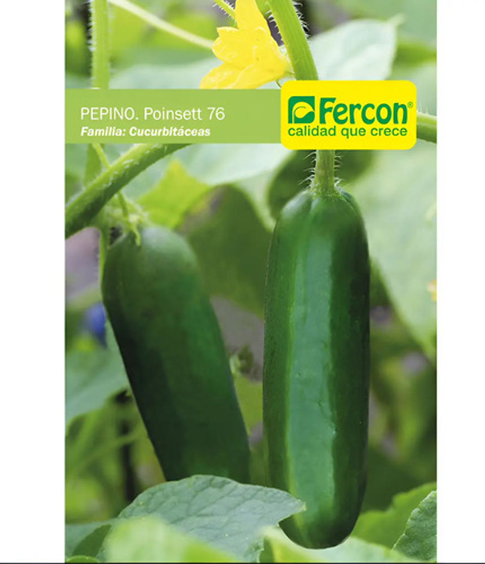 Semillas Hortaliza Certificada Para Huerta Casera Por Sobre 45