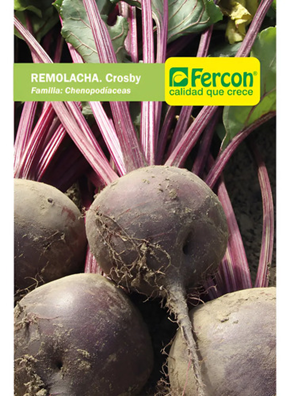 Semillas Hortaliza Certificada Para Huerta Casera Por Sobre 58