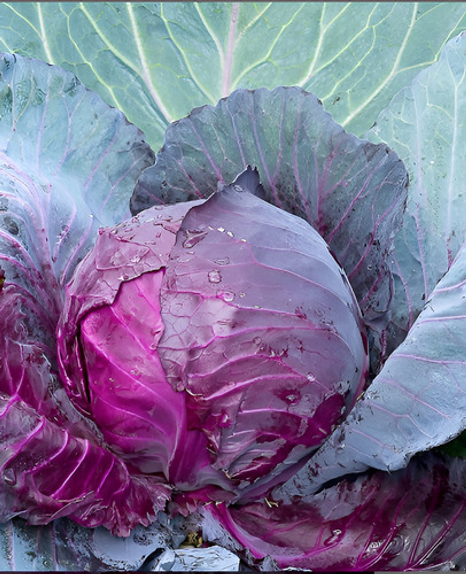 Semillas Hortaliza Certificada Para Huerta Casera Por Sobre 66