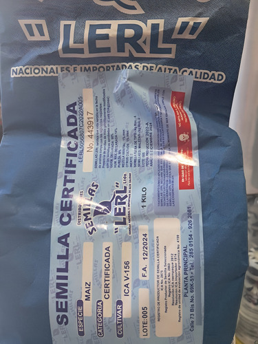 Semillas Maiz Blanco Variedad Ica V-156 X 10 Kilo 6