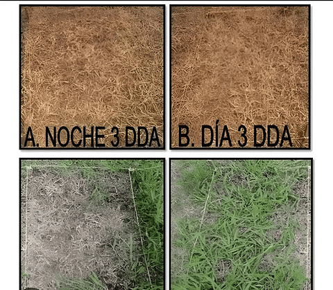 Control Malezas X Litro Glifocafe  480 X 4litro