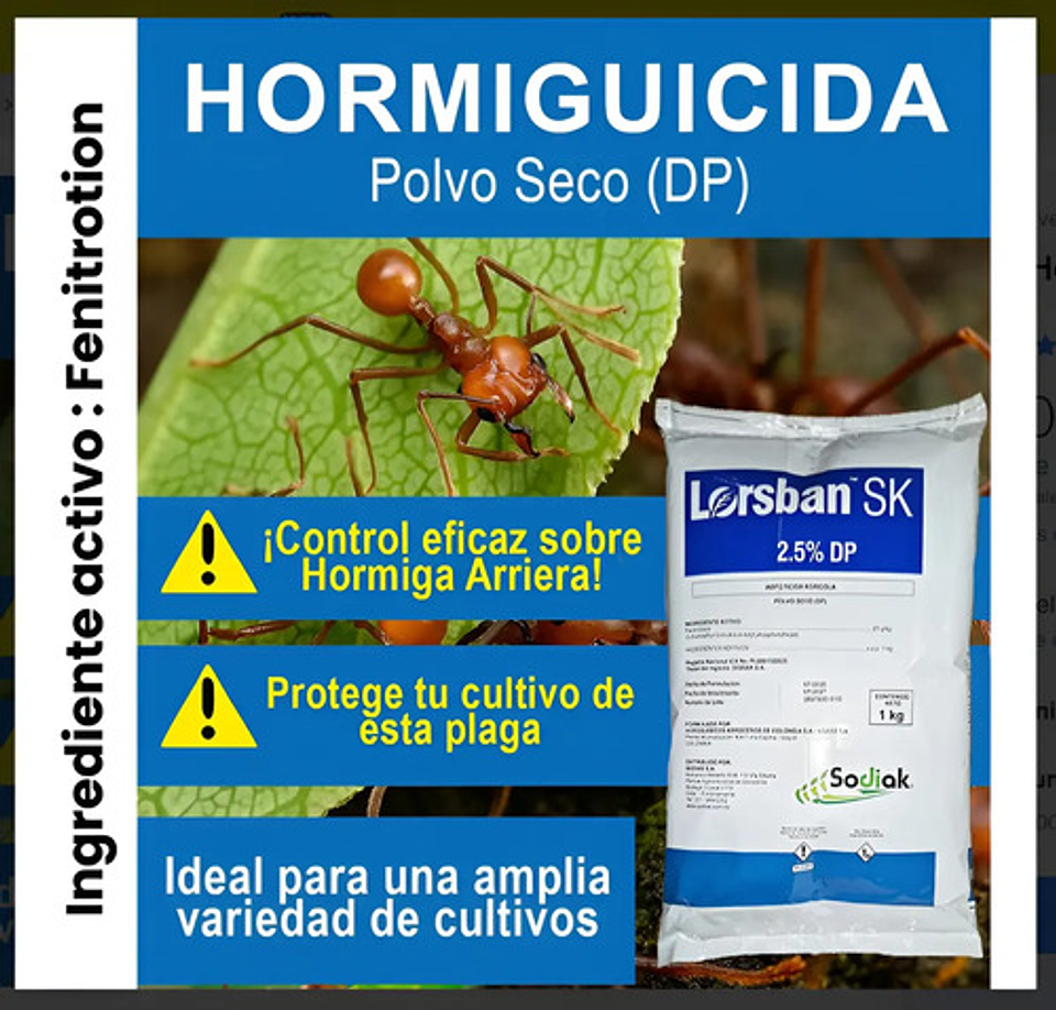 Lorsban Polvo X  10  Kilos  - Control De Hormigas 7