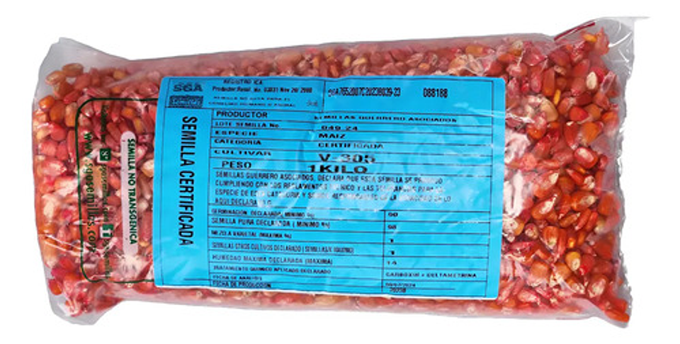 Semillas Maiz Clima Cafetero Amarillo Ica V-305 X Kilo 8