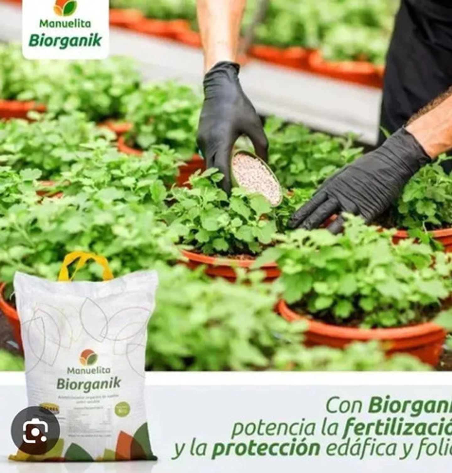Melaza En Polvo Soluble Agrícola X 5kg X 2 Unidad  Biorganik 5