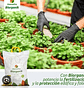 Melaza En Polvo Soluble Agrícola X 5kg X 2 Unidad  Biorganik - Miniatura 5