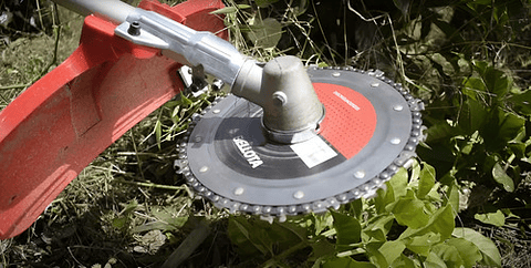 Disco Para Zoqueo Bellota Negro