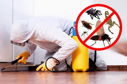 Acerrado 200 EC (Cipermetrina) x 1 Litro - Insecticida de Alto Impacto | Agrosamario 4
