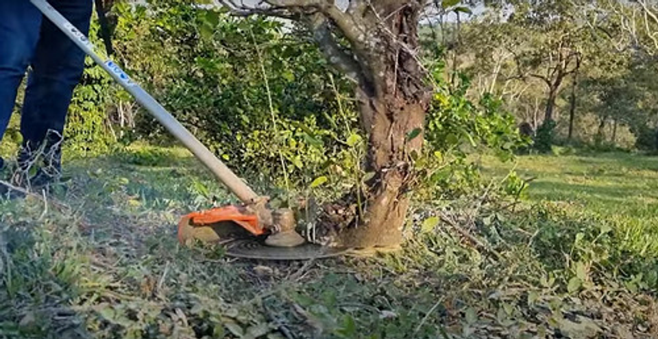 Disco Para Zoqueo De Tungsteno De 10 In 25.4 Cm Dontus 8