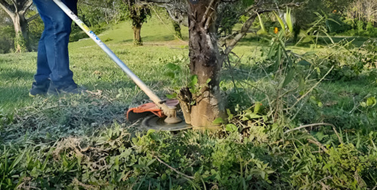 Disco Para Zoqueo De Tungsteno De 10 In 25.4 Cm Dontus 10