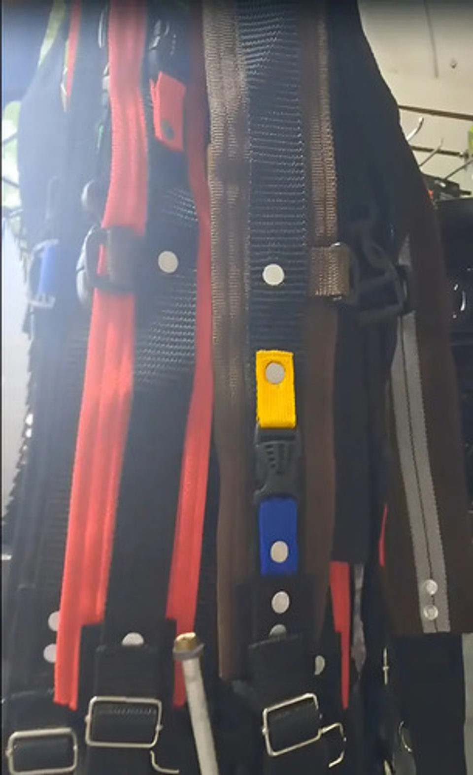 Cinturon Para Recolector De Cafe X Unidad Reforzado 4