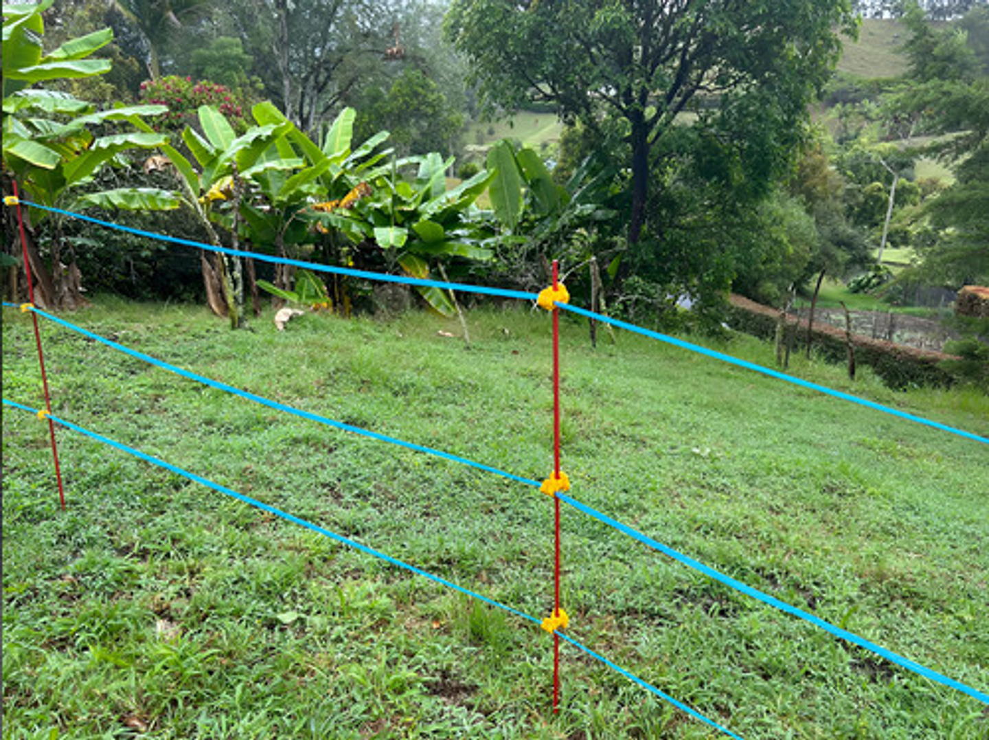 Aislador Cinta O Cordón Cerca Movil - Varilla X 50 Und 2