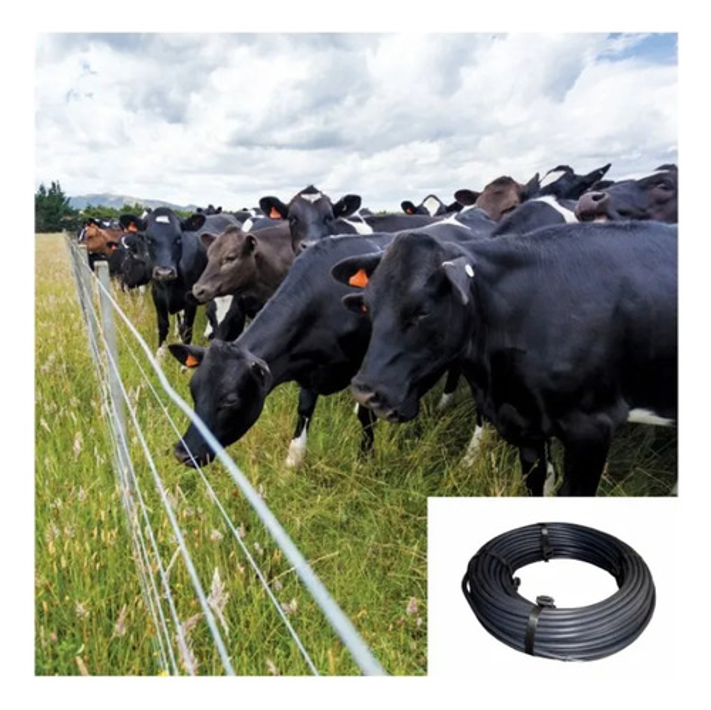 Cable Aislado Cerca Eléctrica X 50 M (2unidades) 6