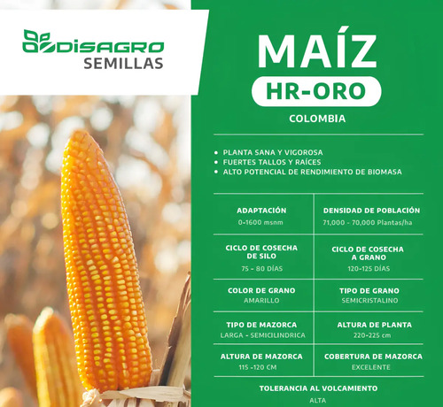 Semillas Maiz Amarillo Hibrido Hr-oro X 5 Kilo 6