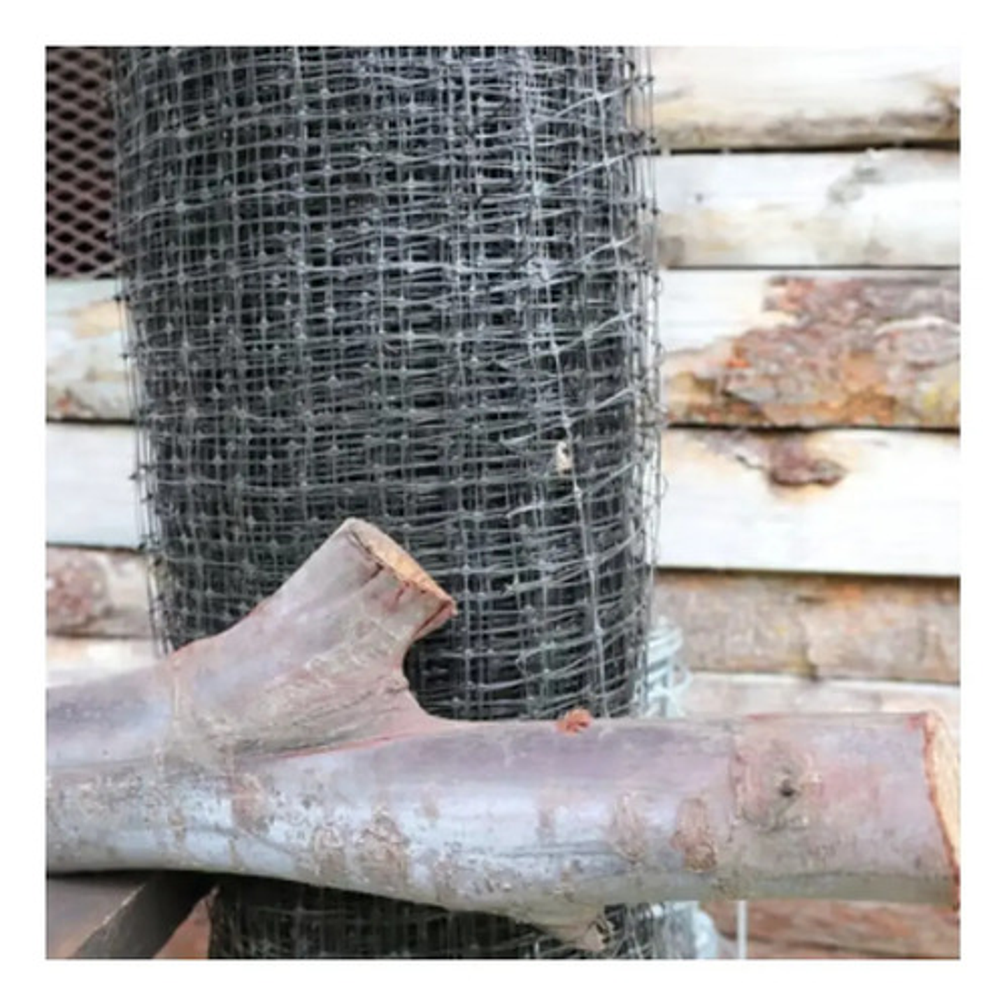 Malla Gallinero Plast 1.80mx50m 6