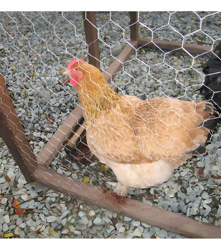 Malla Gallinero Galvanizada 1-1/4