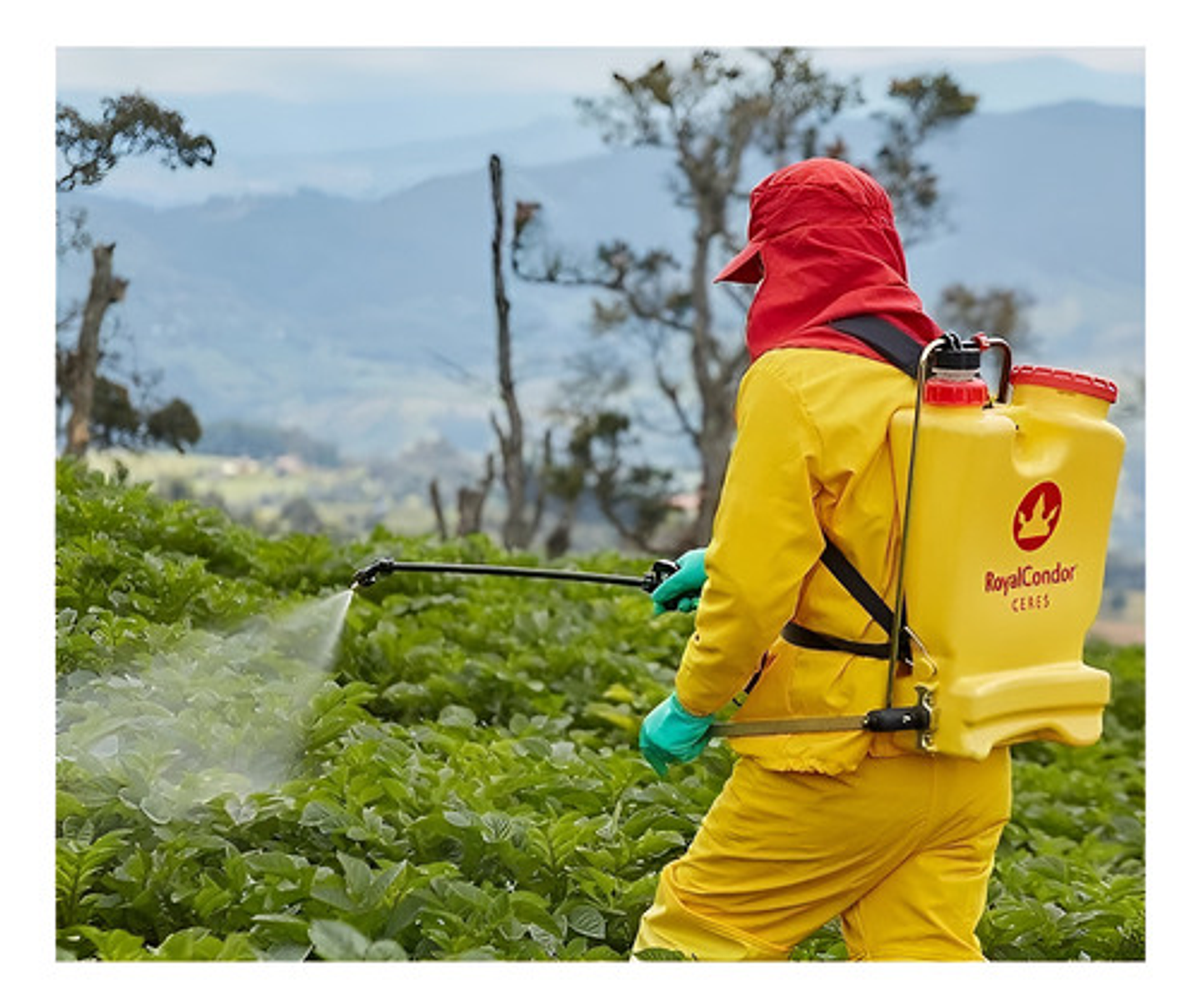 Traje Kit De Proteccion Royal Condor® Con Pantalon 10