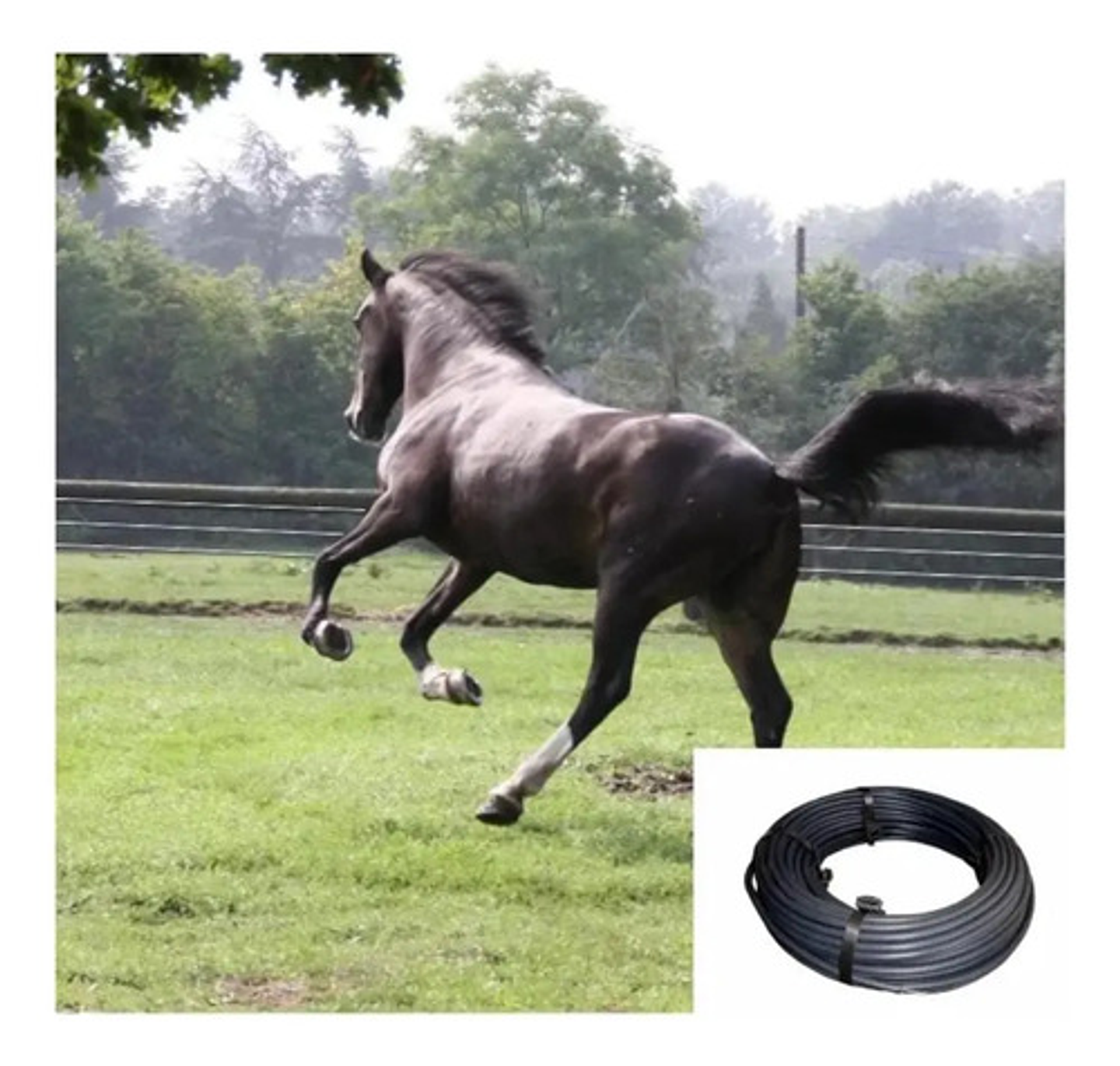 Cable Aislado Para Cerca Eléctrica  X 50 Metros 3