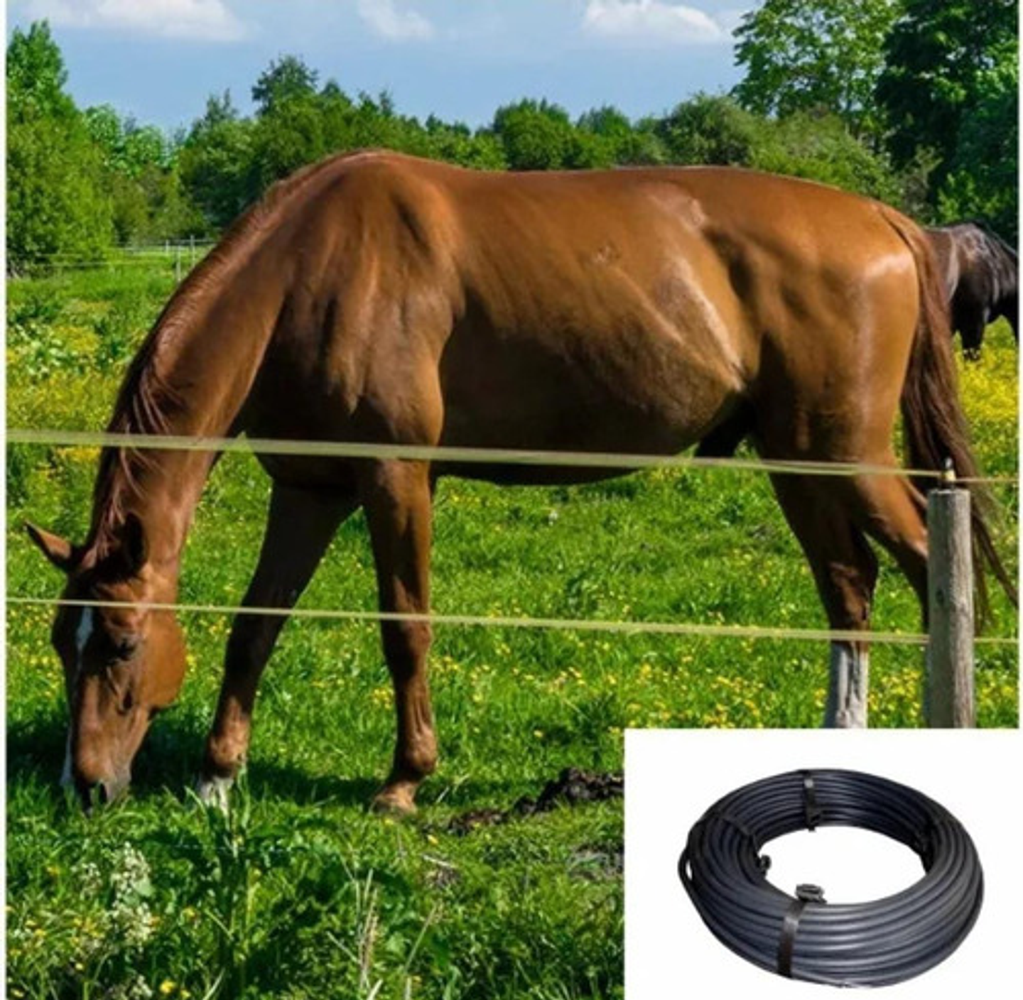 Cable Aislado Para Cerca Eléctrica  X 50 Metros 4