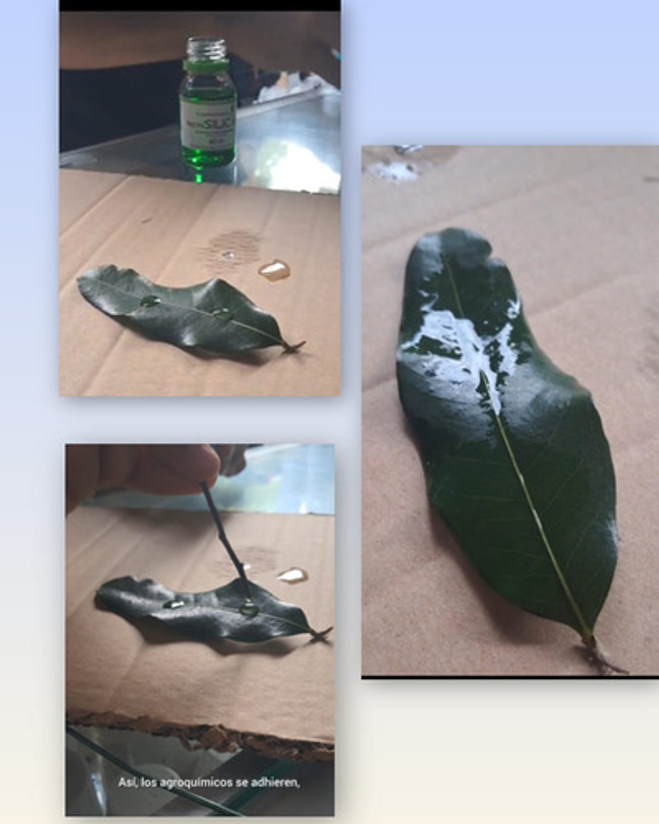 Coadyuvante Agrícola Siliconado Tecnisilic.100 X 200ml 4