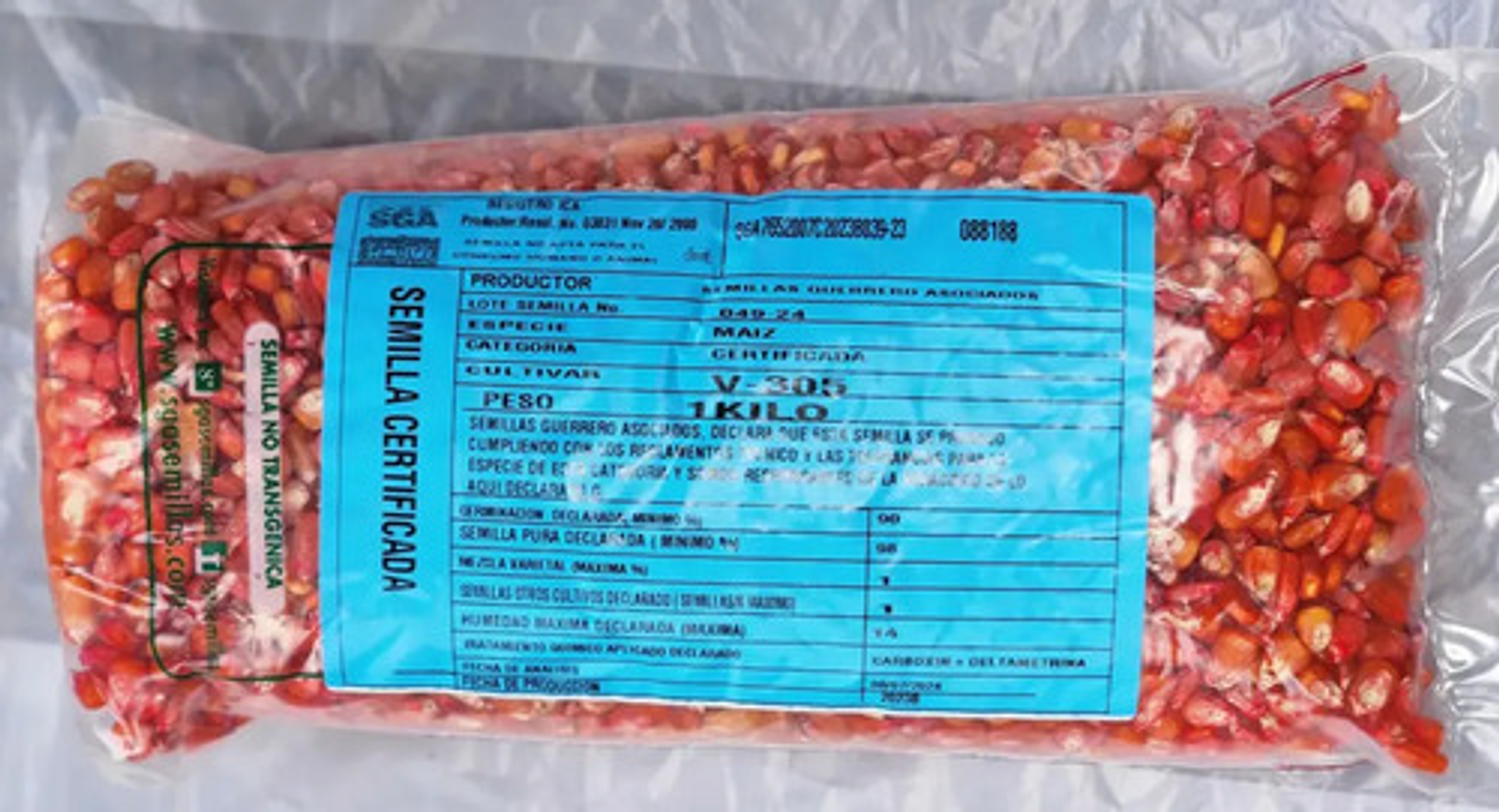 Semillas Maiz Clima Cafetero Amarillo Ica V-305 X 4 Kilo 8