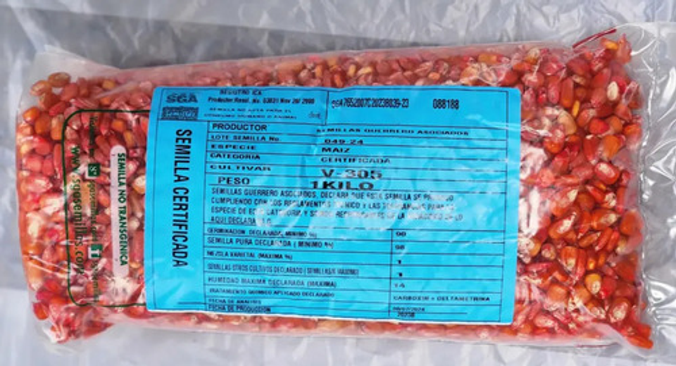 Semillas Maiz Clima Cafetero Amarillo Ica V-305 X 4 Kilo 8