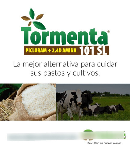 Tormenta 101 SL Herbicida 1 Litro - Agrosamario 3