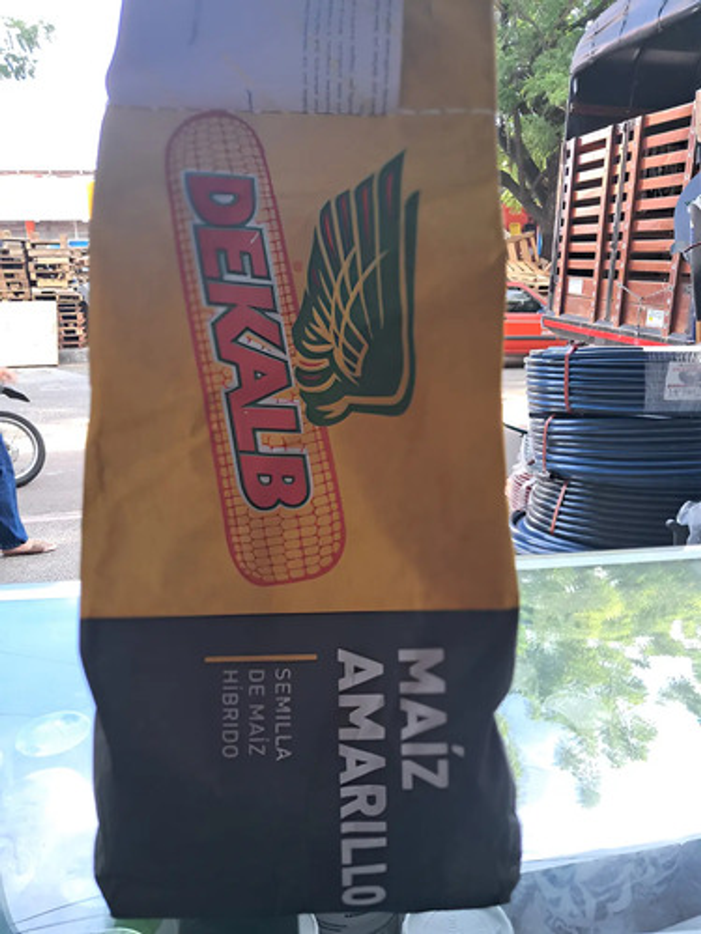 Semillas Maiz Amarillo Hibrido Hr-oro X 1 Kilo 4