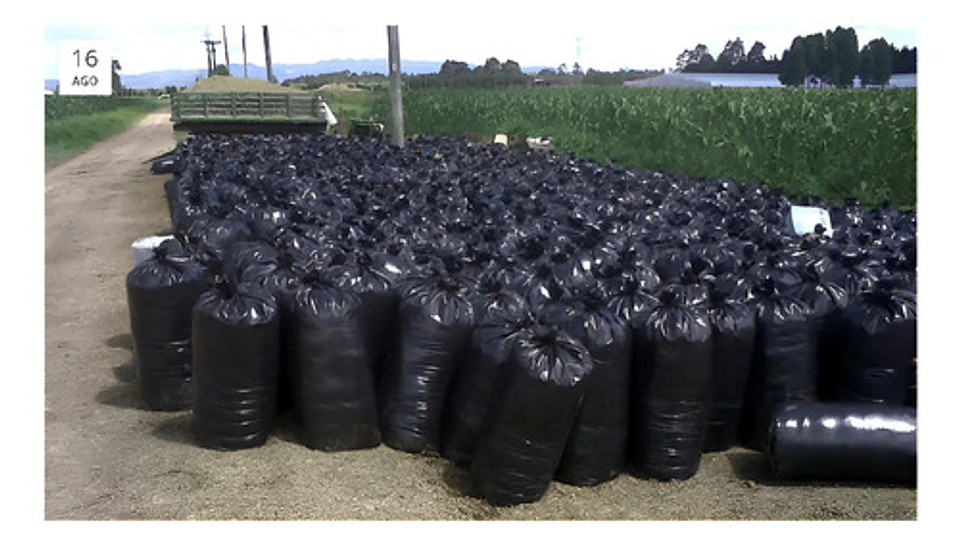 Bolsa Ensilaje 70x110 5uni Cal5 5