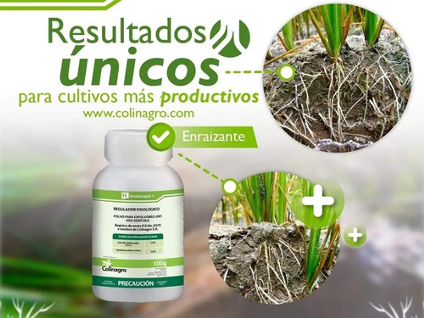 Hormoagro 1 Enraizador Hormonal Para Esquejes - Polvo 5