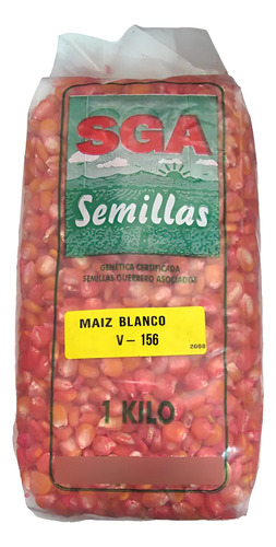 Semillas Maiz Blanco Variedad Ica V-156 X 4 Kilo 4