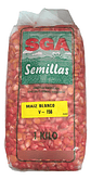 Semillas Maiz Blanco Variedad Ica V-156 X 4 Kilo - Miniatura 4
