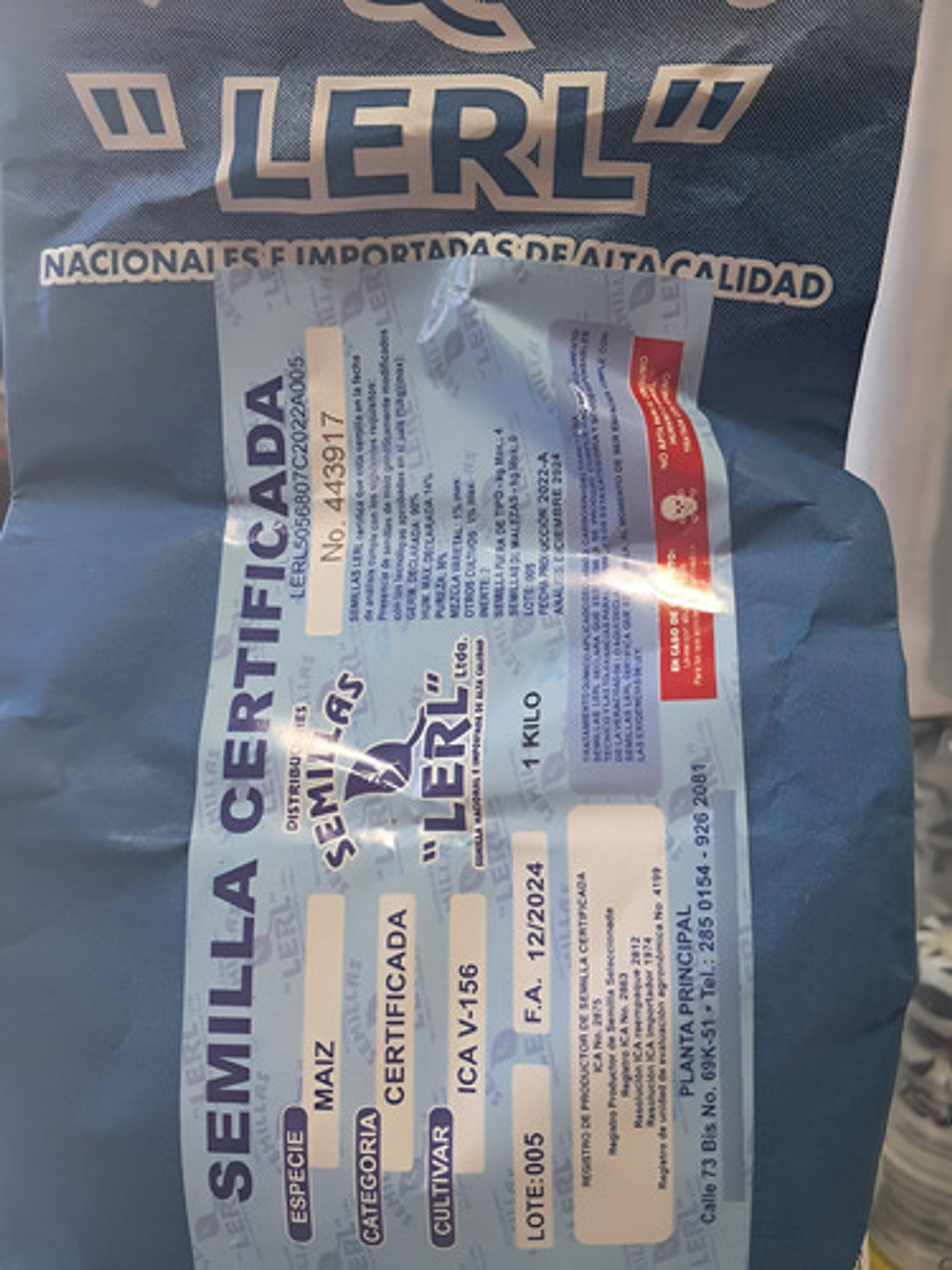 Semillas Maiz Blanco Variedad Ica V-156 X 4 Kilo 6