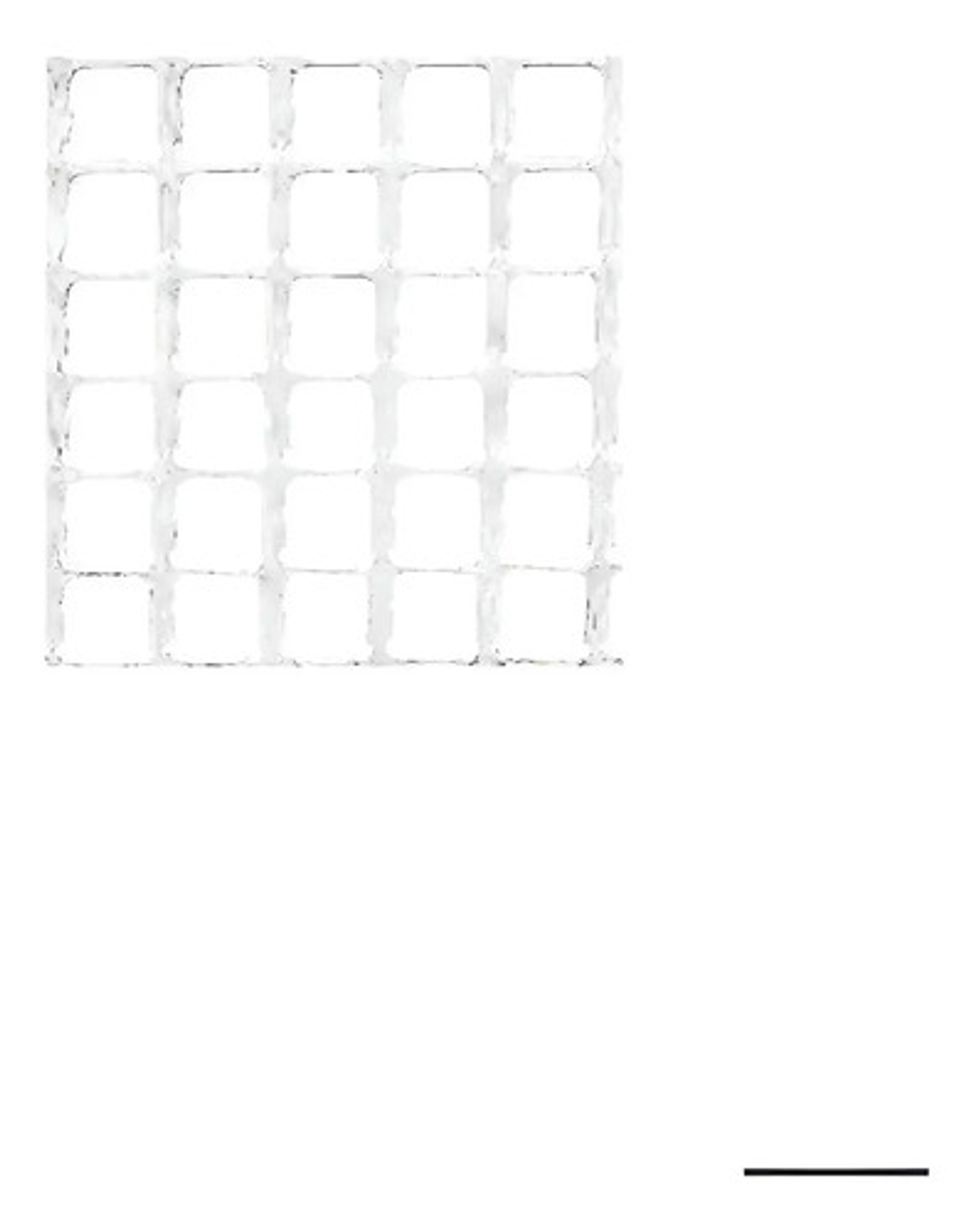 Malla Reja Cuadrada Plastica 16x16mm X 5mt Largo/1mt Alto 9