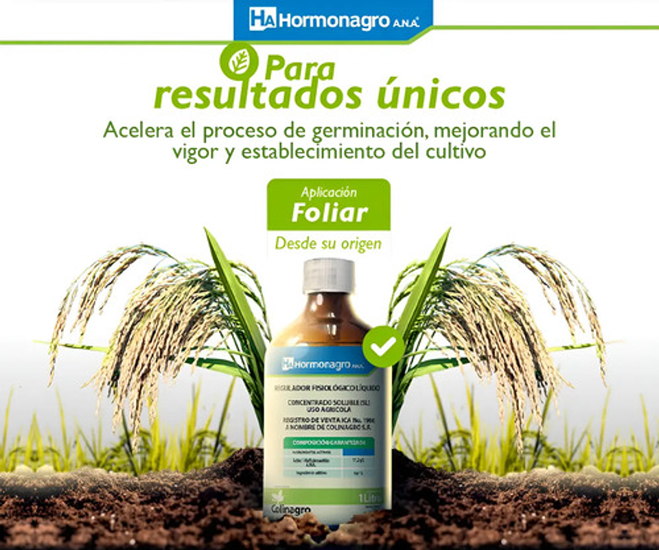 Hormonagro Ana Hormonas Florescencia X Litro 7
