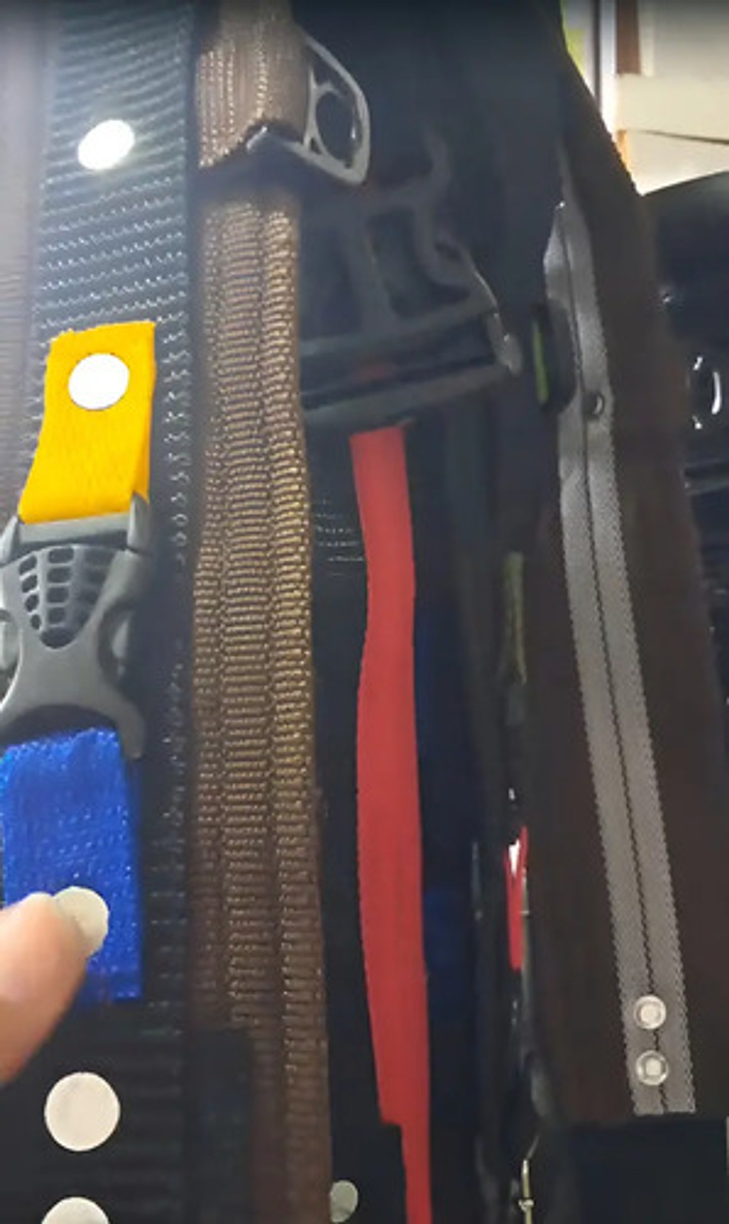 Cinturon Para Recolector De Cafe X 10 Unidad Reforzado 3