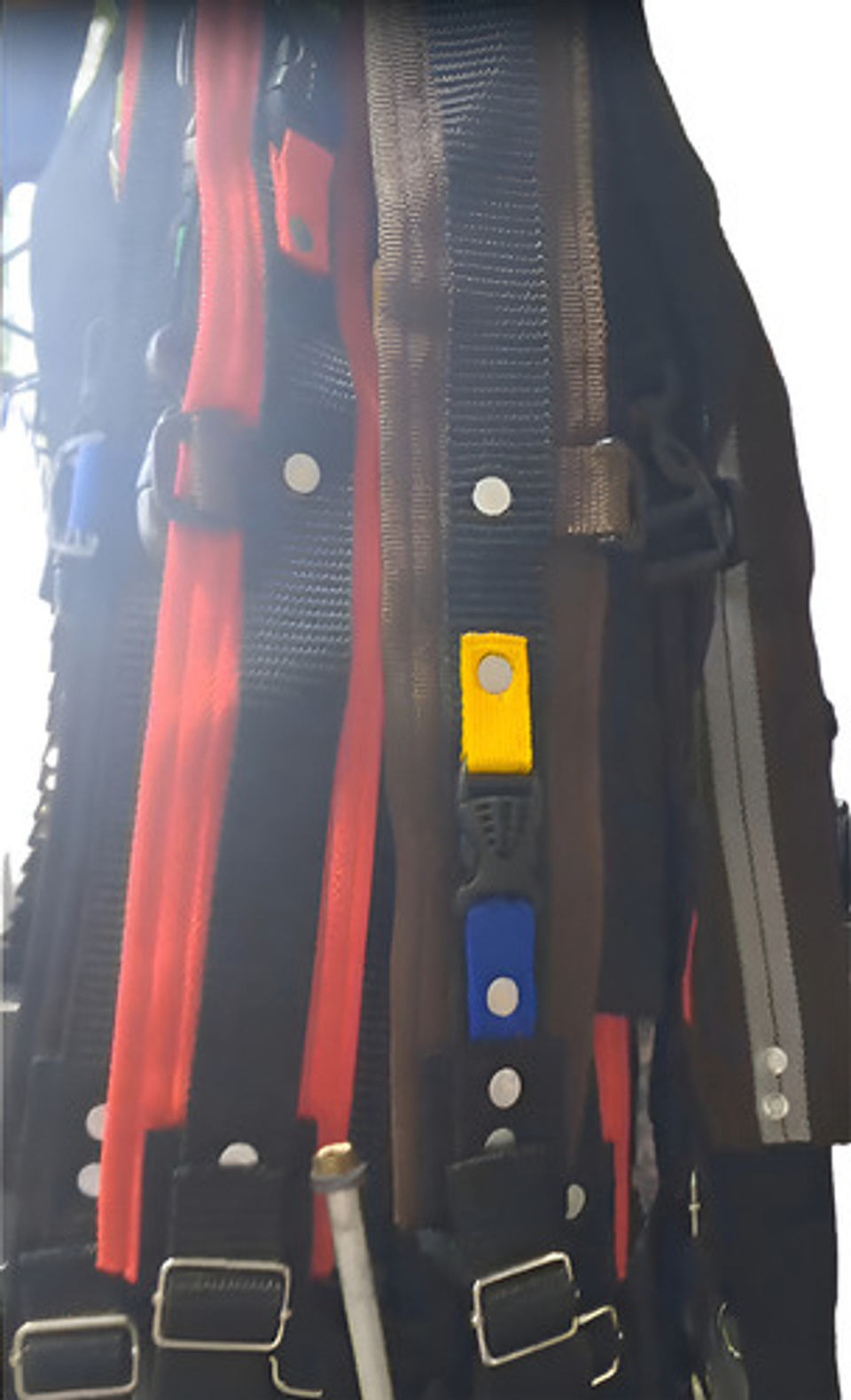 Cinturon Para Recolector De Cafe X 10 Unidad Reforzado 4