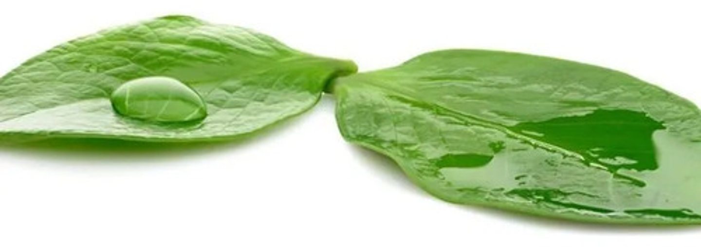 Potenzol 900sl Invesa - Coadyuvante Dispersante Agrícola X L 3