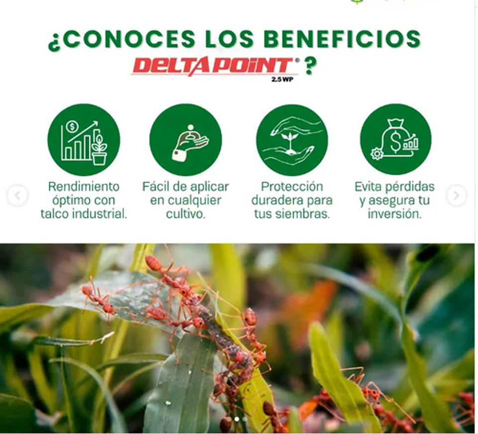 Deltametrina 2.5  Wp Polvo Para Arriera Y Gusano 6