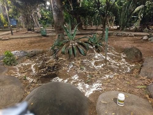Combo Hormiguicida: Bomba Insufladora 500g + 2 Termigas Polvo x 500g | Agrosamario 8