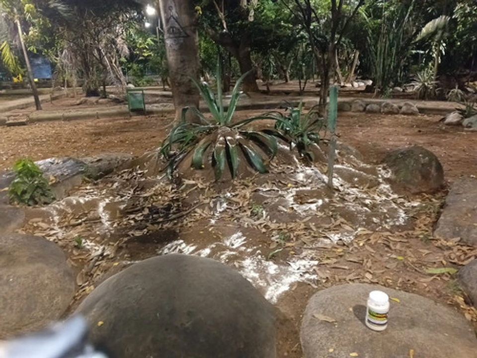 Bomba Insufladora Mata Hormigas  500 Gr + 2 Termigas X 500 G 10