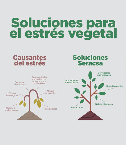 Fertiinvesa Aminoácidos + Algas Marinas | Fertilizante Bioestimulante x 1 Litro l Agrosamario  5