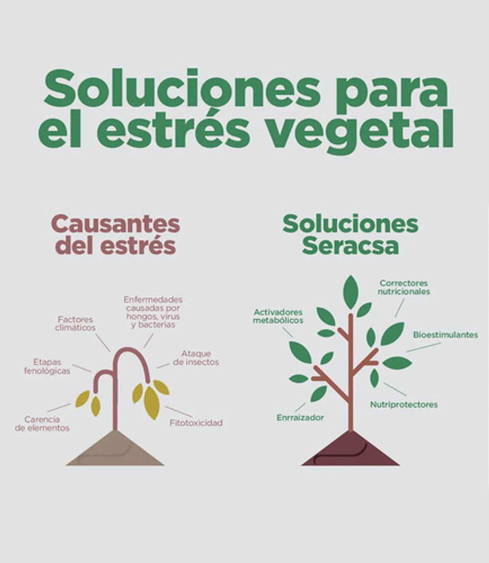 Fertiinvesa Aminoacidos Algas Marinas   X Lt Cultivos 5